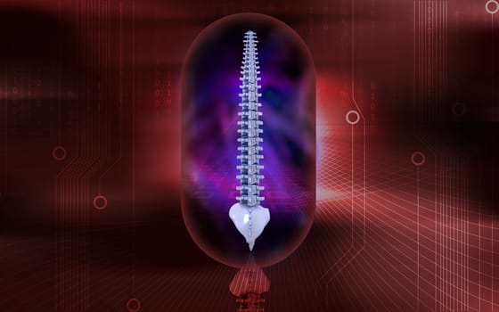 Digital illustration of back bone in colour background