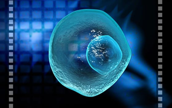 Digital illustration of ovum cell in colour background