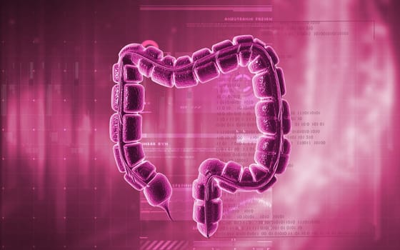 Digital illustration of large intestine in colour background