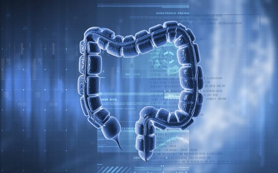 Digital illustration of large intestine in colour background