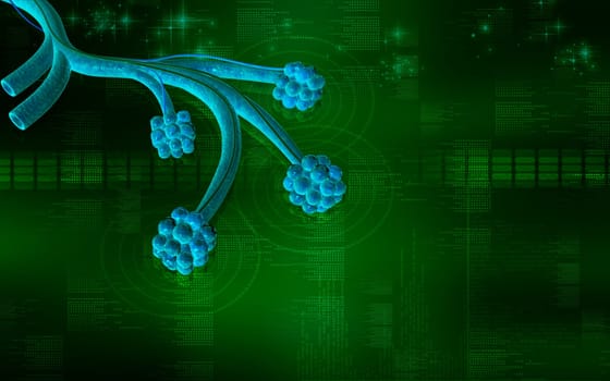 Digital illustration of alveoli in colour background