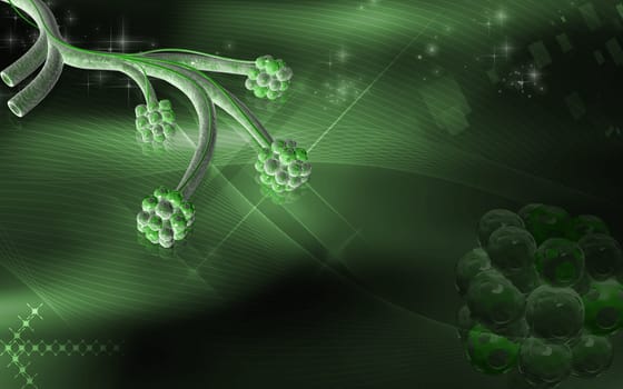 Digital illustration of alveoli in colour background