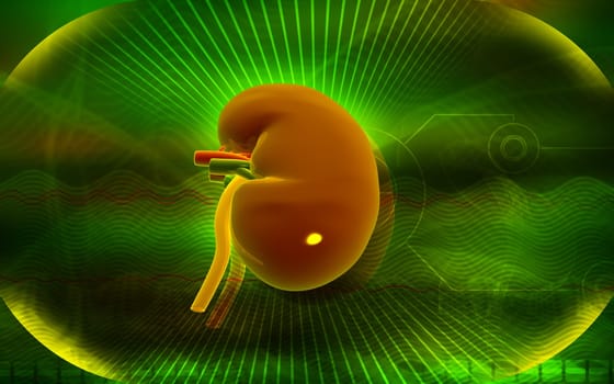 Digital illustration of kidney in colour background