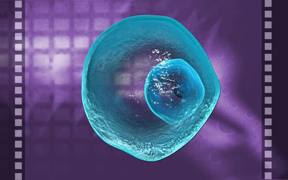 Digital illustration of ovum cell in colour background