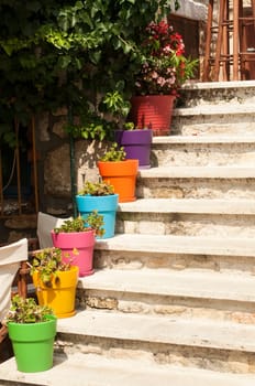 External staircase of house with colorful flowerpots