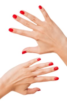 Women's hands with beautiful well-groomed fingers and red nail polish wellness beauty spa close up isolated on white background