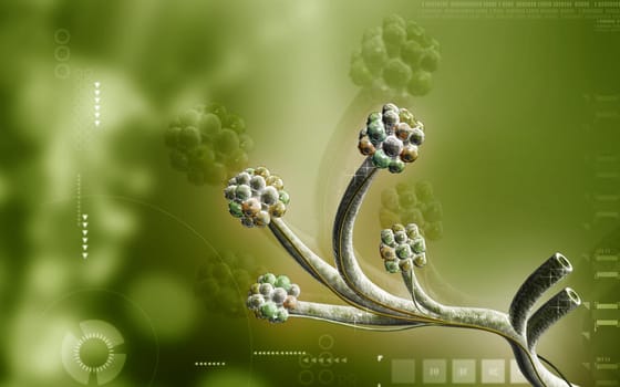 Digital illustration of alveoli in colour background