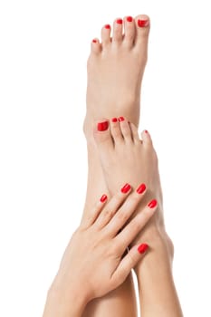 Woman with beautiful neatly groomed red finger and toe nails sits with bare feet clutching her ankles with her hands on white in a concept