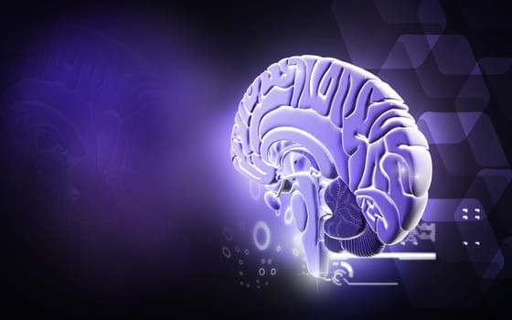 Digital illustration of brain in colour background
