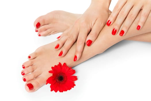 Woman with beautiful neatly groomed red finger and toe nails sits with bare feet clutching her ankles with her hands on white in a concept