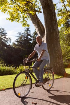 Older man senior pensioner cycling in the park in summer in the sunshine