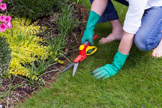 Hands with gloves and a garden scissors when gardening outdoors in summer