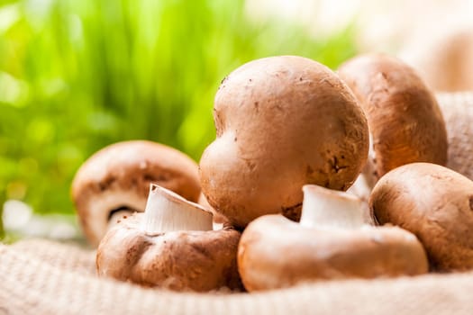 Fresh braund champignons in sunlight on a wooden table in daylight