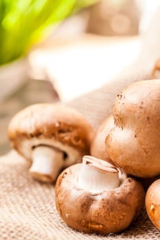 Fresh braund champignons in sunlight on a wooden table in daylight