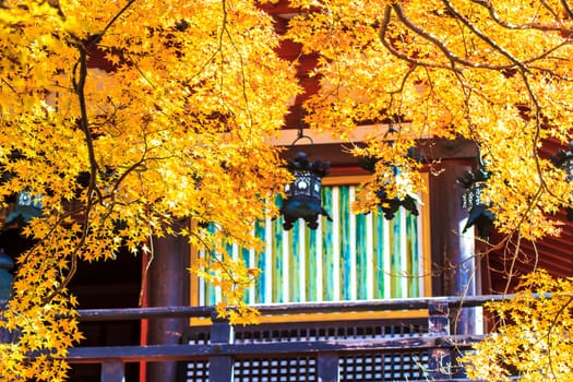 Tanzan Shrine at fall for adv or others purpose use