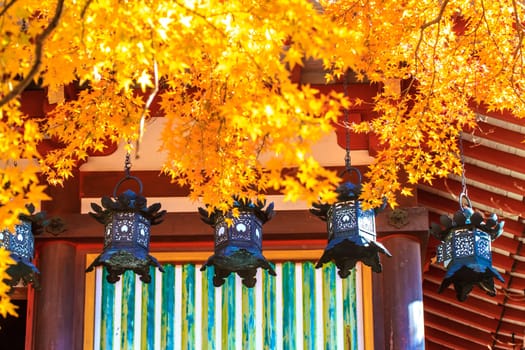 Tanzan Shrine at fall for adv or others purpose use