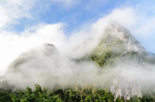 Lush high limestone mountain covered by mist surrounded by tropical forests of Thailand.