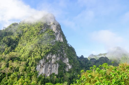 Lush high limestone mountain covered by mist surrounded by tropical forests of Thailand