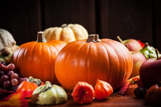 Traditional pumpkins for Thanksgiving and Halloween in warm colors