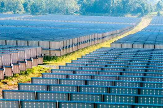 solar panels field on a sunny day