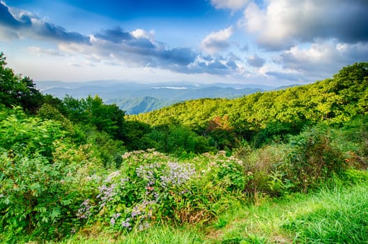 Sunrise over Blue Ridge Mountains Scenic Overlook