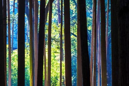 Kyoto, Japan - June 30, 2014