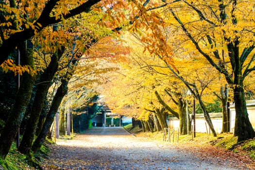 Kyoto, Japan - June 30, 2014