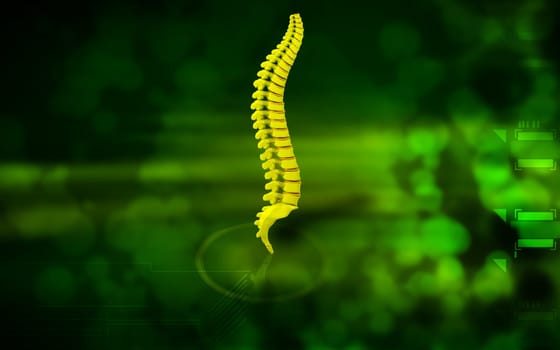 Digital illustration of back bone in colour background