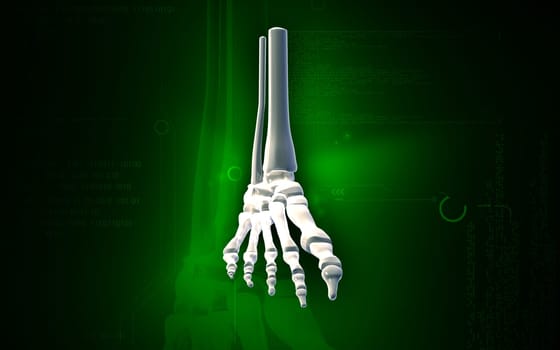 Digital illustration of Leg bone in colour background