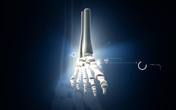 Digital illustration of Leg bone in colour background