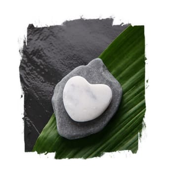 stone and shell on green plant