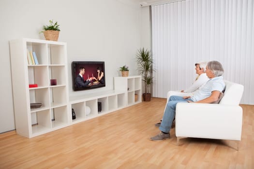 Rear view of a couple watching television with a scene on the screen of a young man and woman celebrating