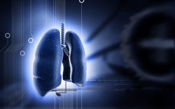 Digital illustration of human lungs in colour background
