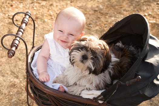 Baby girl and puppy are sitting in a vintage pram