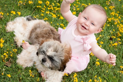 Sweet baby girl and puppy in a field of buttercups