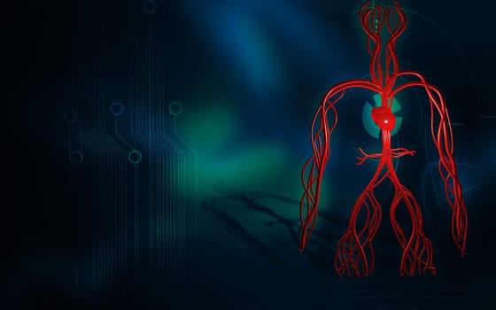 Digital illustration of vascular system in colour background
