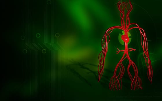 Digital illustration of vascular system in colour background