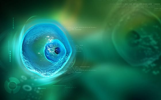 Digital illustration of ovum cell in colour background
