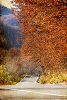 Vintage photo of curving road in autumn forest