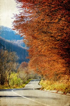 Vintage photo of curving road in autumn forest