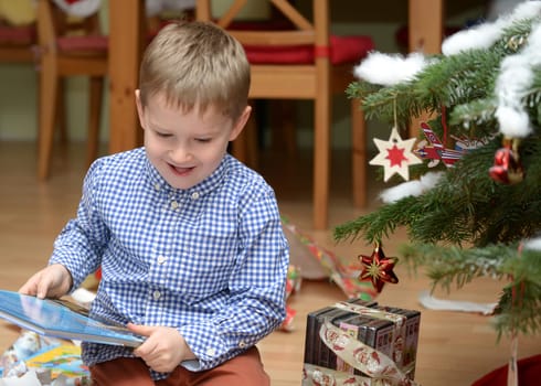 Boy on the Christmas tree