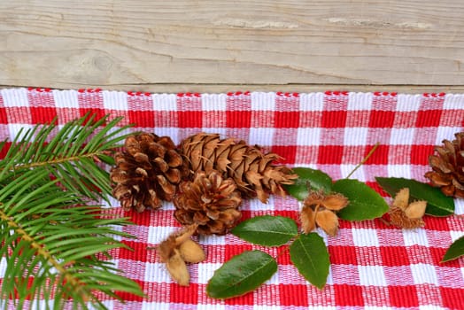 Christmas Wood Background Nature