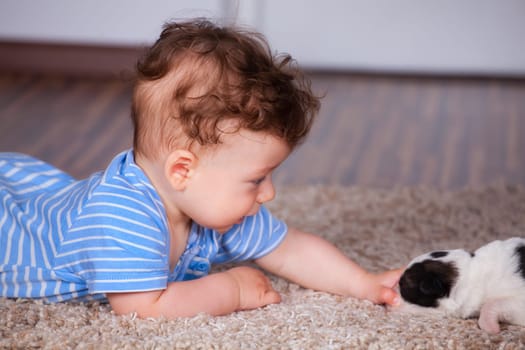 7 months old baby boy playing with new born pup.