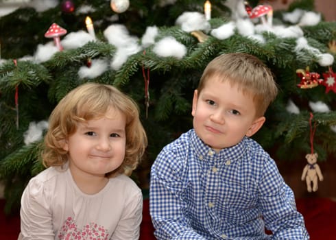 Children under the Christmas tree