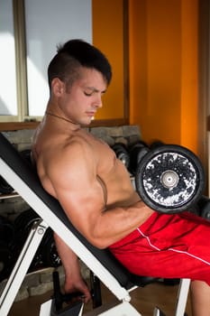 Fit muscular shirtless young man working out with weights in a gym to strengthen and tone his muscles in a health, exercise and fitness concept