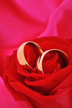 Two golden rings in red rose on red satin background