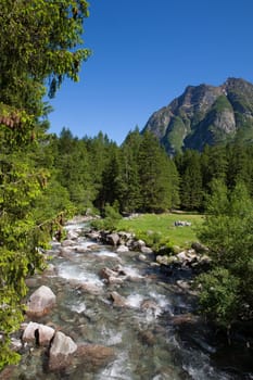 Beautiful landscape with the river