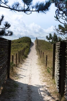 Long sand trail across the dune in Ristinge beach