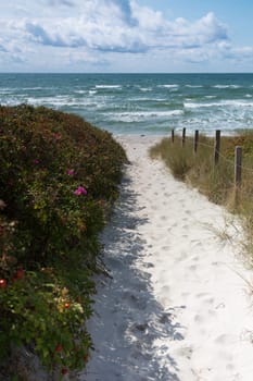 Sandy access to the beach of Ristinge Strand,Langeland