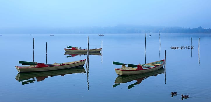 Morning silence at the lake